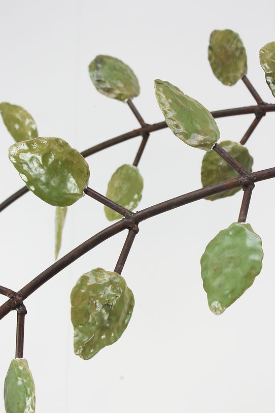 La verte nepheline CloseUp 2.jpg