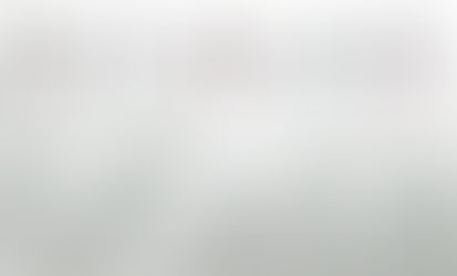 Tipos de Velos de Novia