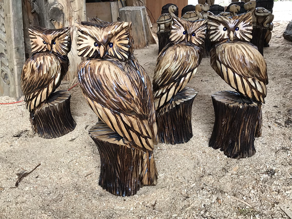 2ft cedar owl