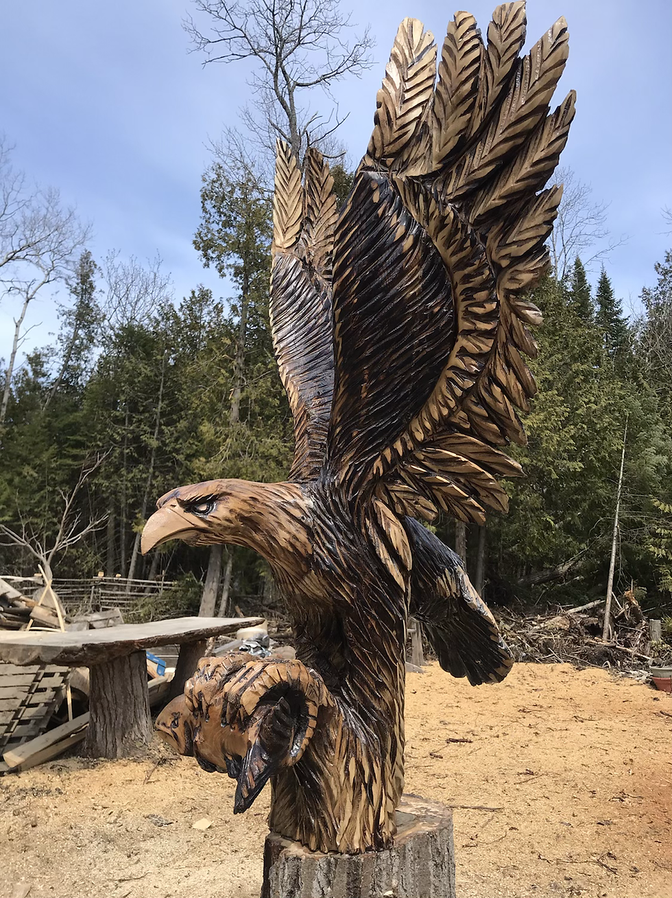 Thumbnail: Cedar Eagle