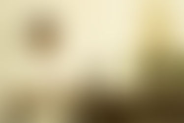 漢語、漢字、漢詩與漢思―我學習中國語文的體悟