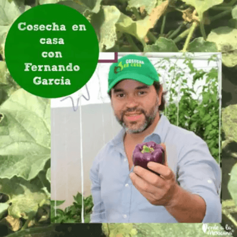 descarga