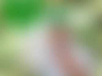 Taller Cosecha en casa