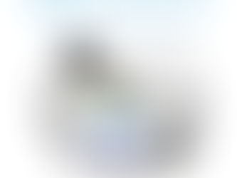 Limpieza de primavera