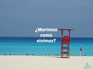 reflexiones sobre la vida