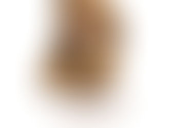 Cuidados de una mascota al estilo Verde a la mexicana