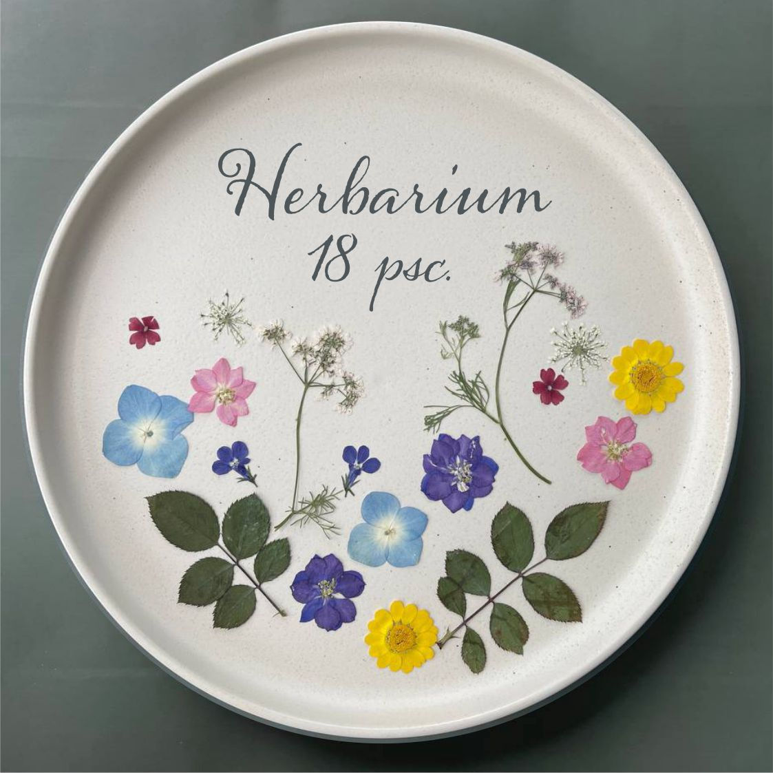 H015 Suszone Prasowane Kwiaty i Liście do Żywicy, 18 szt.