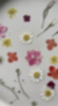 Thumbnail: H07, Dried Pressed Flowers and Leaves for Resin, 24psc.
