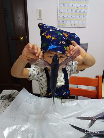 P_20210501_083507_p.jpeg