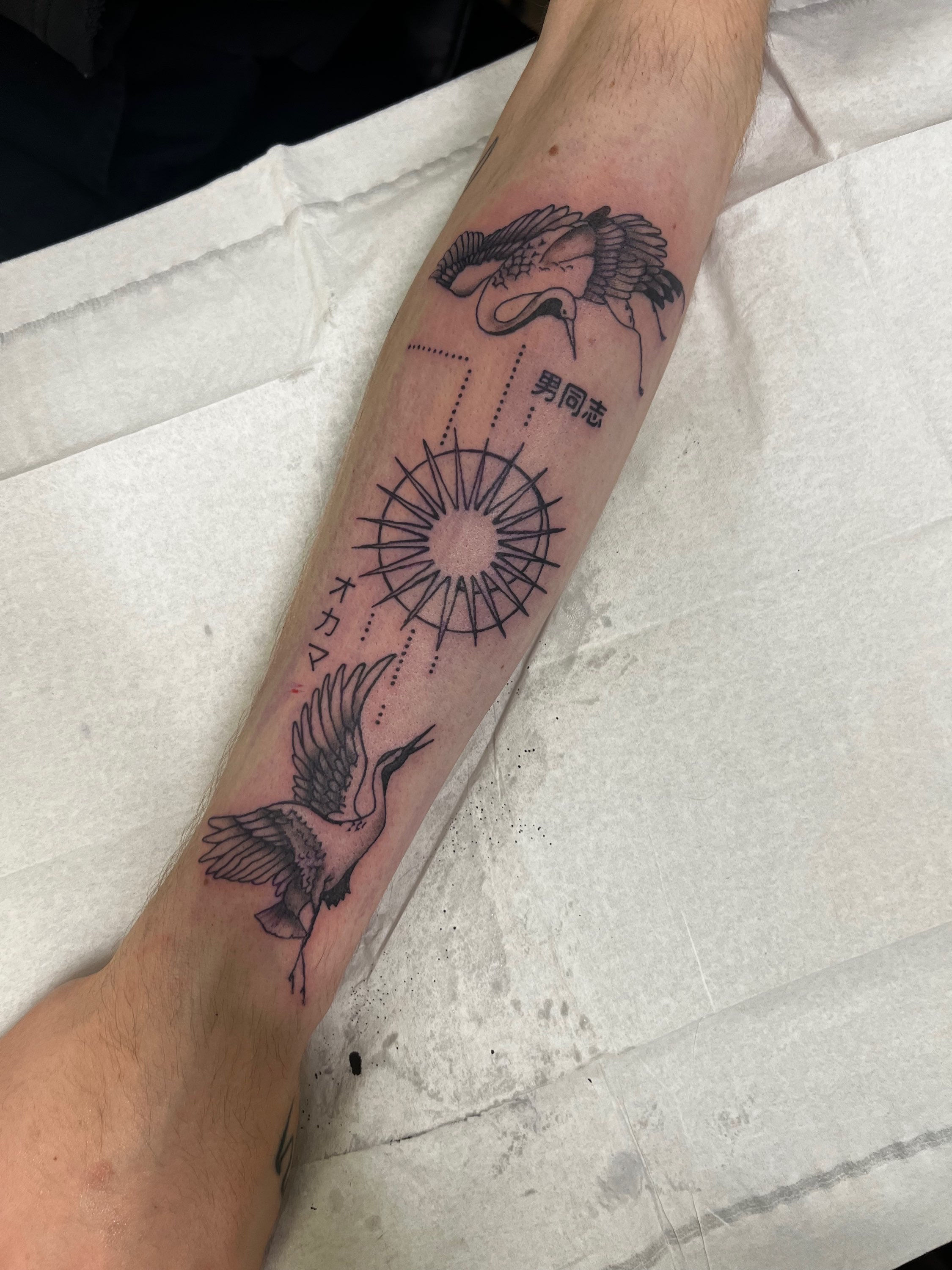Cranes 