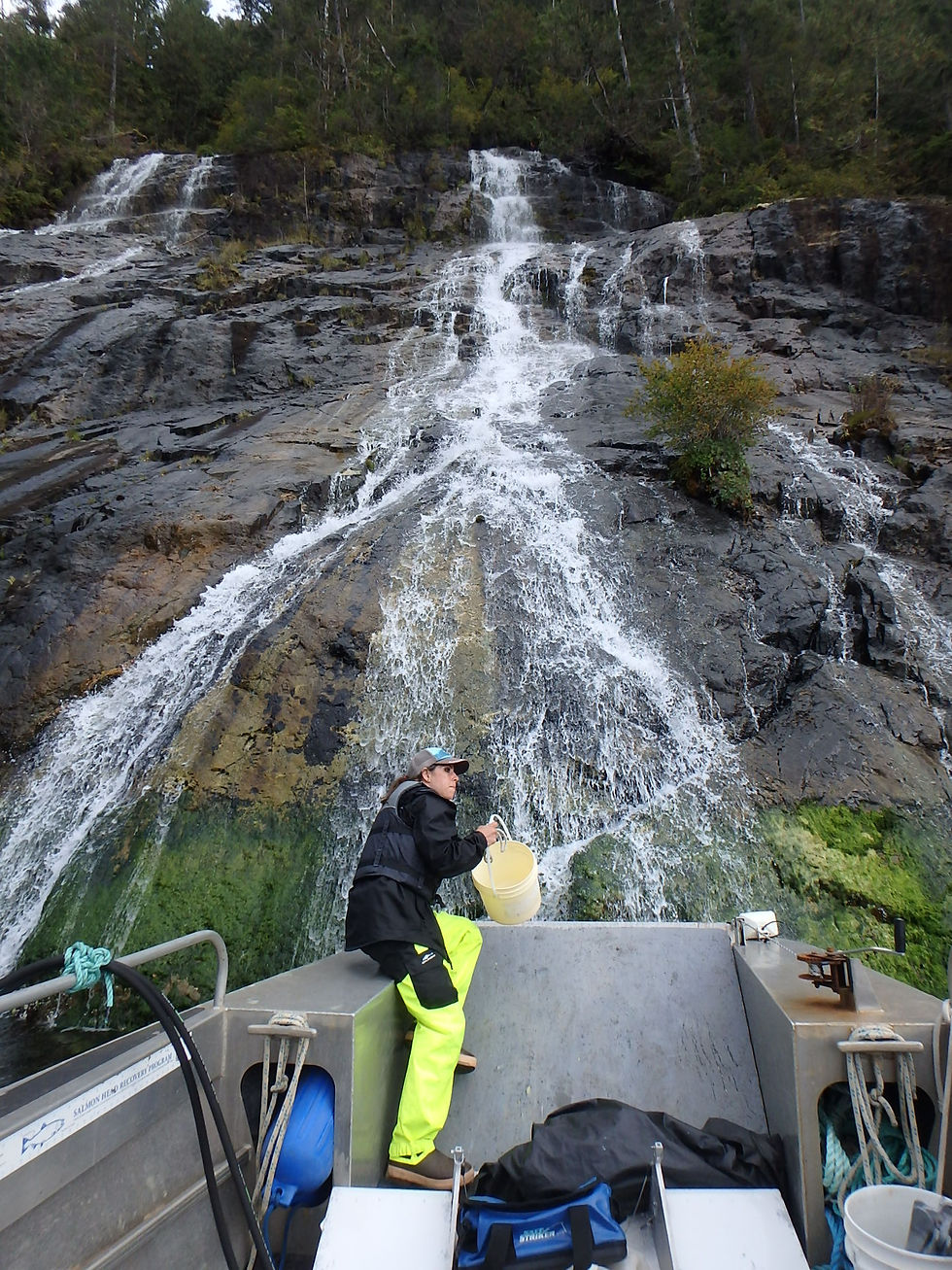 Clayoquot Sound, BC