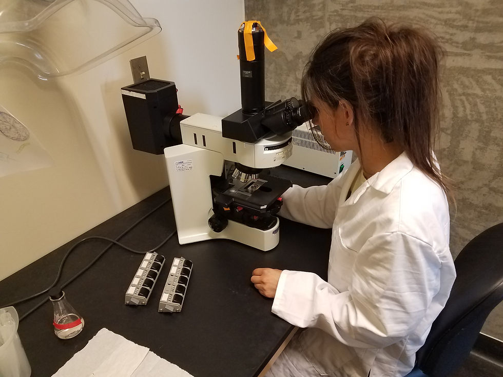 Light Microscopy