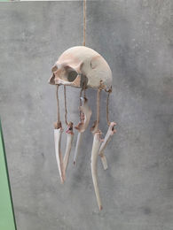 3D geprinte schedel met botten die realistisch zijn afgewerkt met verf