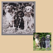 Mijn XL 3D-portret – mijn drie honden in sepia