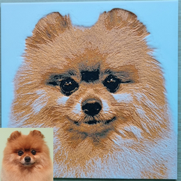 3D-geprint hondenportret van een kleine Pomeraniaan met lichte en donkere vachtstructuur.