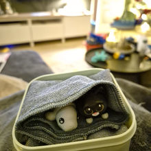 twee kleine Wizziez figuurtjes onder een doekje in een bakje, alsof ze slapen tijdens een speelmoment