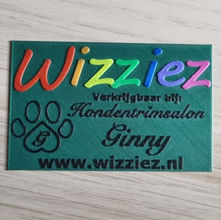 3D-geprint Wizziez-visitekaartje met regenbooglogo en ingebouwde NFC-chip op groene achtergrond.
