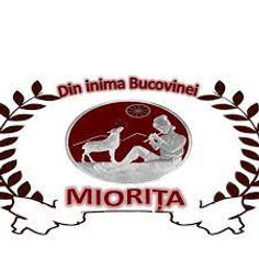 Miorita food hub
