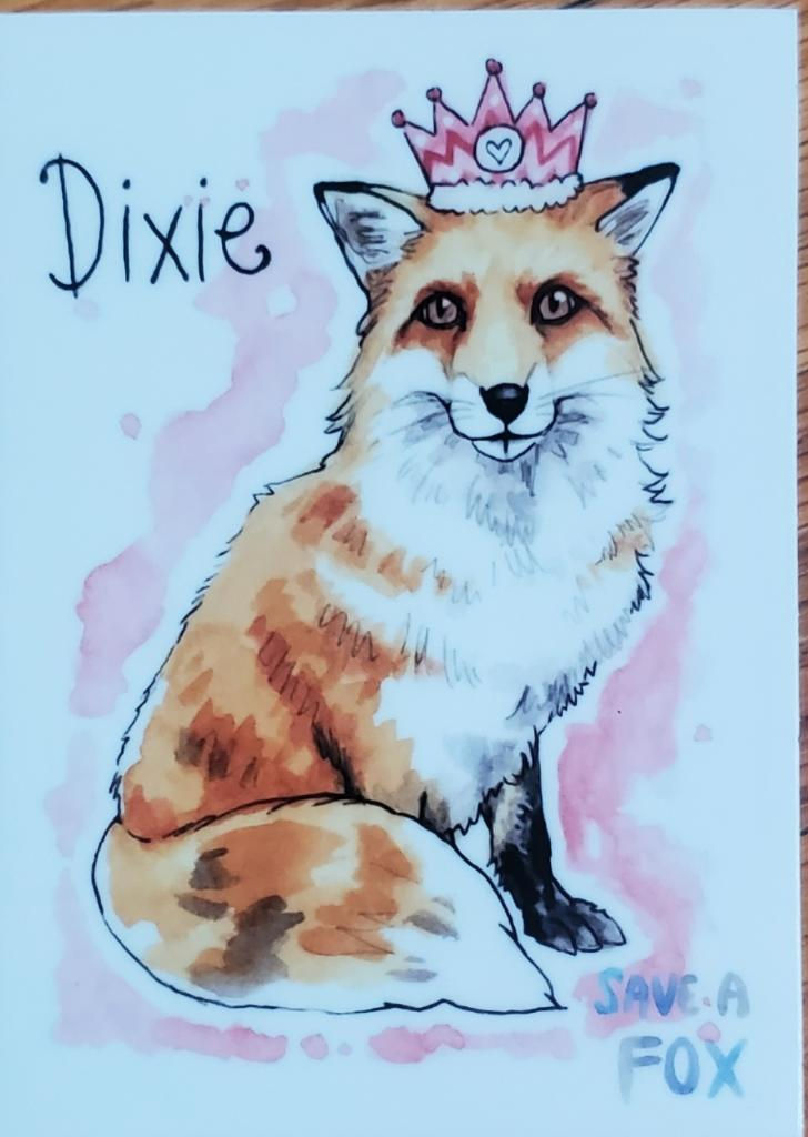 Thumbnail: Sticker Pack 1 with Dixie! Comes with 2025 calendar! 