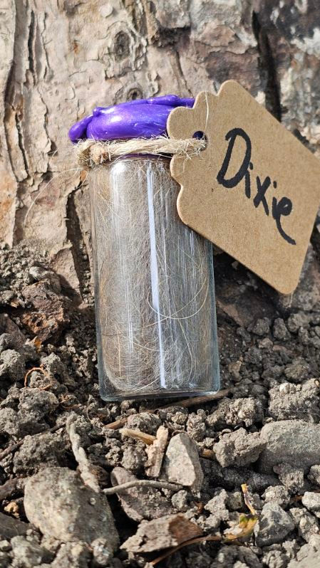 Thumbnail: Glass jar of Shedded  Fox fur!