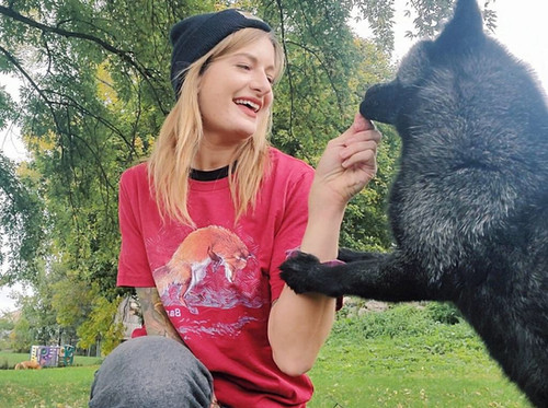 Finnegan fox leaps for a mouse in the snow T-shirt! | Saveafox