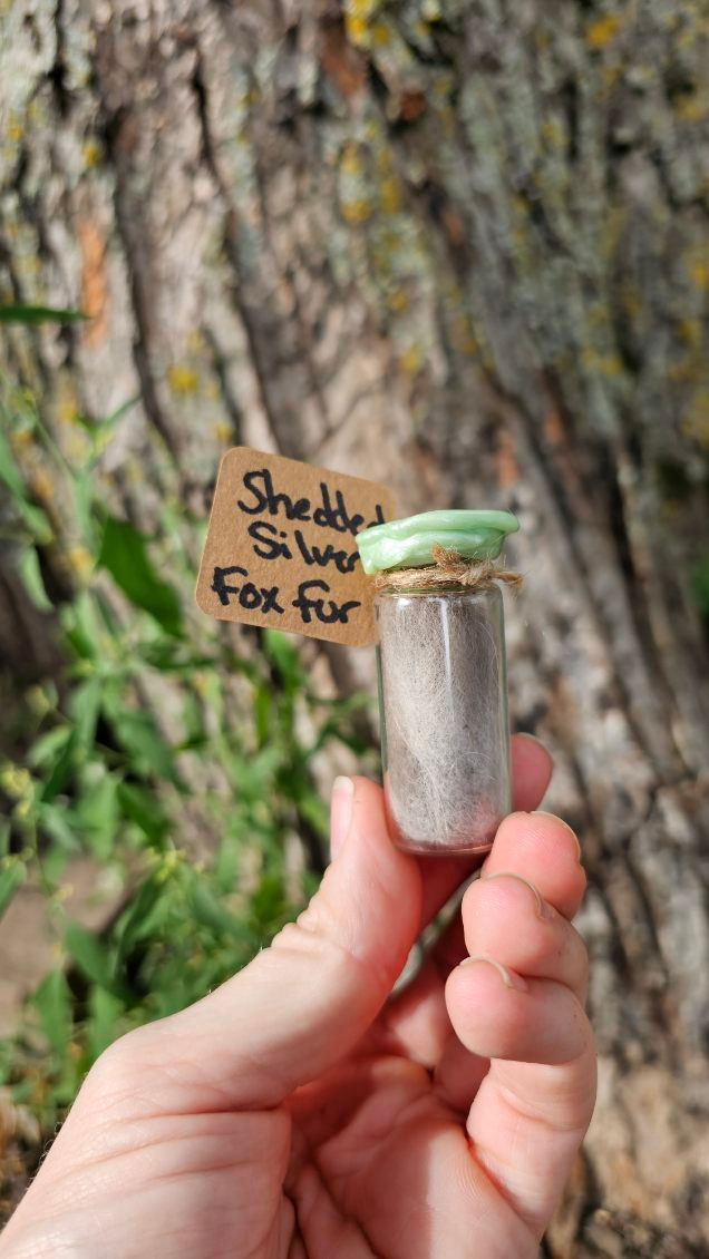 Thumbnail: Glass jar of Shedded  Fox fur!