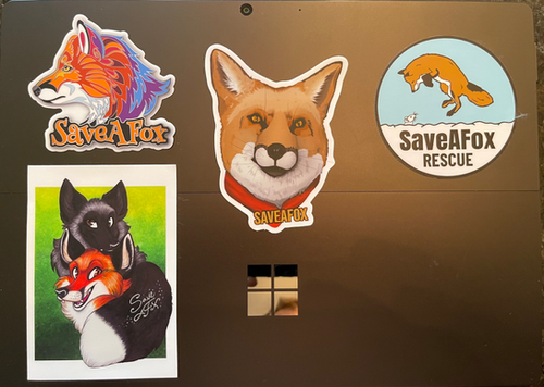 Finnegan classic sticker pack and free 2025 calendar! ! | Saveafox
