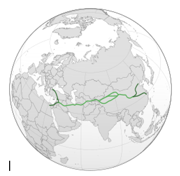 Les nouvelles routes de la soie