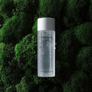 ROYAL FERN