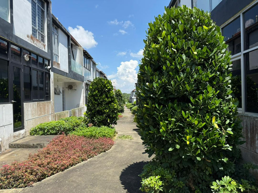 WhatsApp Image 2025-09-18 at 4.23.09 PM (5)