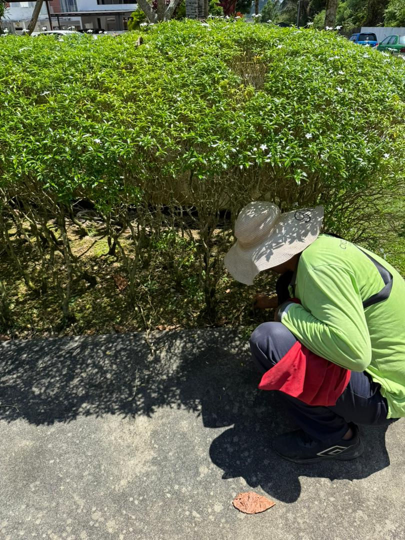 WhatsApp Image 2025-09-18 at 4.23.11 PM (1)