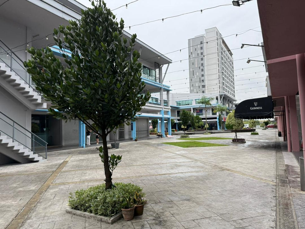 WhatsApp Image 2025-09-17 at 4.14.14 PM