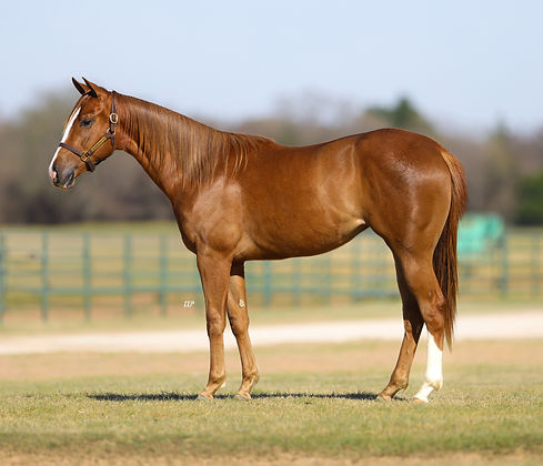 EE Sure As Seis_edited.jpg