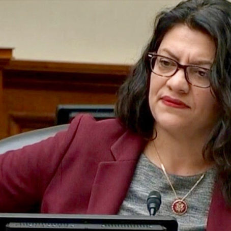 Rashida Tlaib: "Do I Look White To You?"