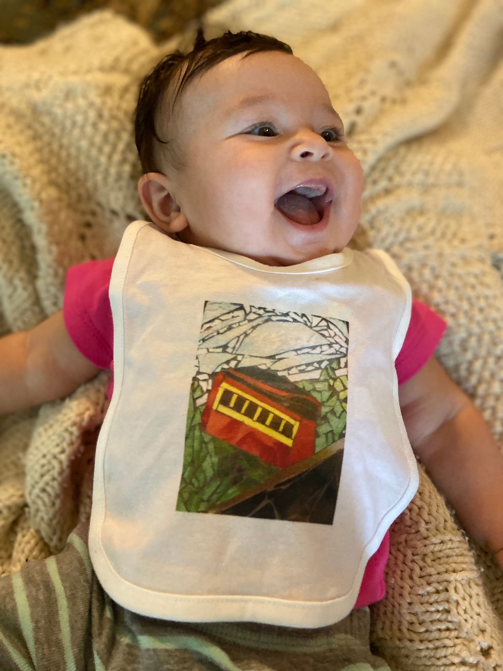 Incline Bib