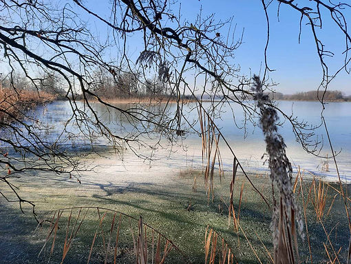 Etang