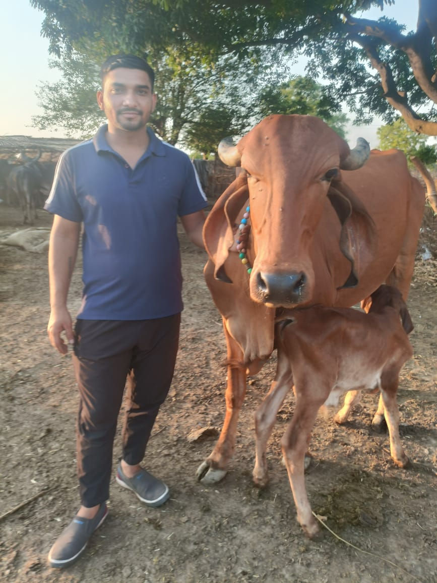 Dairy products of Bansiwala Gaushala