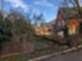 Bennetts Tree Care 038.jpeg