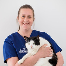 Belfast City Vets - Helen