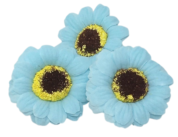Gerbera2.PNG