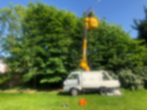 Bennetts Tree Care 022.jpeg