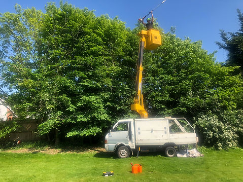 Bennetts Tree Care 022.jpeg