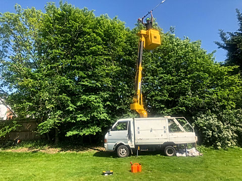 Bennetts Tree Care 022.jpeg