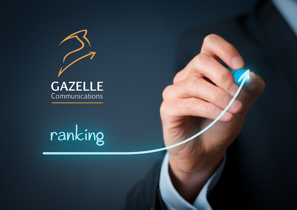 Checking Your Website's SEO In 2024.