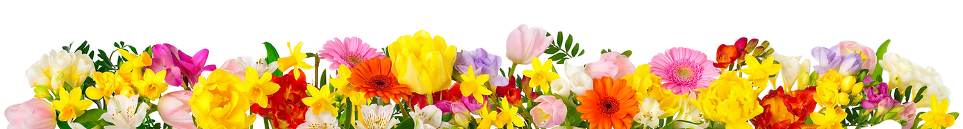 Soap Posie Footer Banner_edited.png