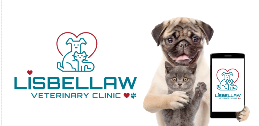 Best veterinary clinic near me sales