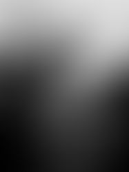 An Accidental Masterpiece