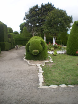 Cementerio de Tulcan
