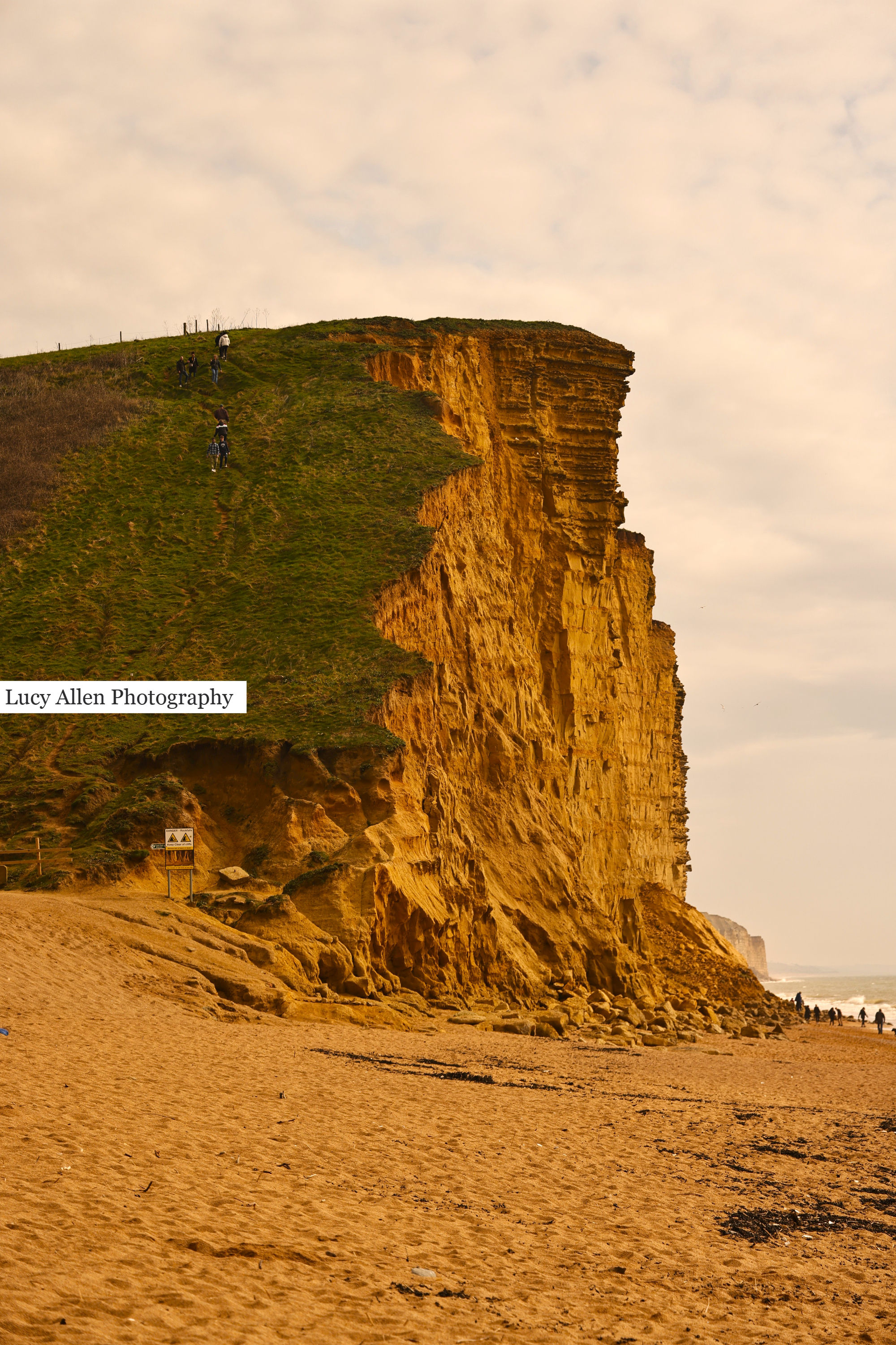 Golden Cliffs 
