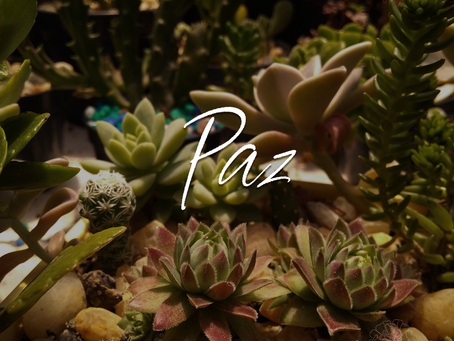 Paz